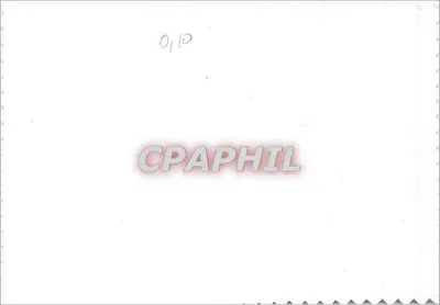 Róża czerwona — kartka pocztowa kolekcjonerska — nr 01/10 — Rewers