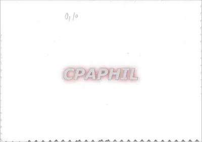 Bilhete postal moderno Feliz Festa — Verso