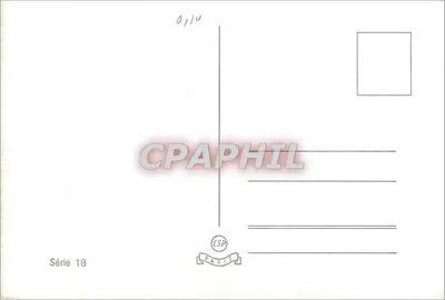Arranjo de penas coloridas — n° 0110 — Verso