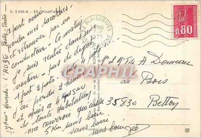 99 pecore + 1 champenois — questo fa 100 animali — Etel — Verso