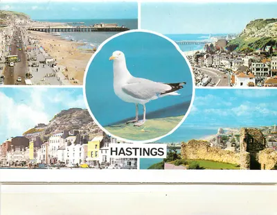 Hastings — vista panorâmica com gaivota — n° LC154
