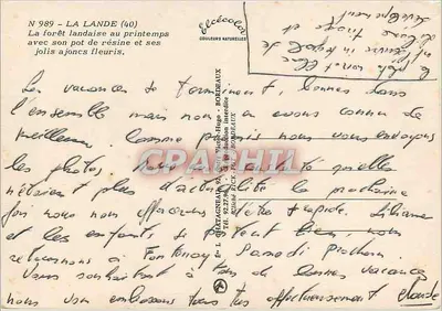 प्रांतीय जंगल में वसंत के साथ — अपने रेजिन के बर्तन और सुंदर फूलों वाले एजॉन्स के साथ — एलेसे — पीछे
