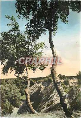 As Costas Negras — Environs de SAINT-DIZIER (Hte-Marne) — Edição MAIF - REIMS P.P.A.L.