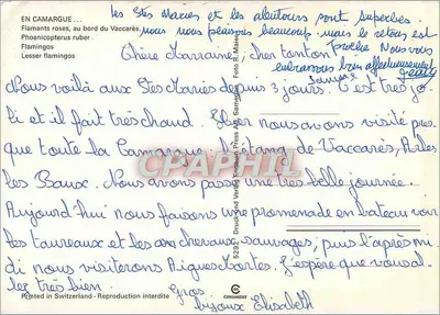 Flamanki róże na brzegu Vaccarès — Camargue — Wydawca: Craddock Verlag — Rewers