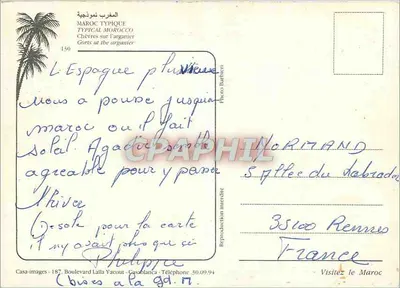 Kozy na arganierze — Typowy Marok — Casa-images, n°150 — Rewers