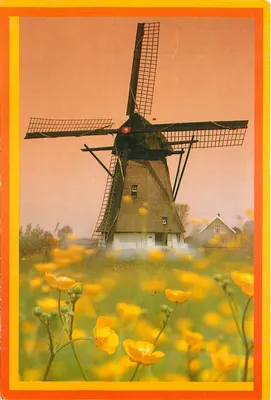 Moulin à vent à Werkendam — Hollande — éditeur Color Cards, n° ecc 667