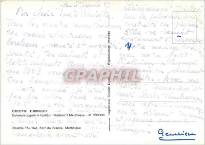 Hibisco e colibri — reprodução — Impressora Cricaldi, n° não visível — Verso