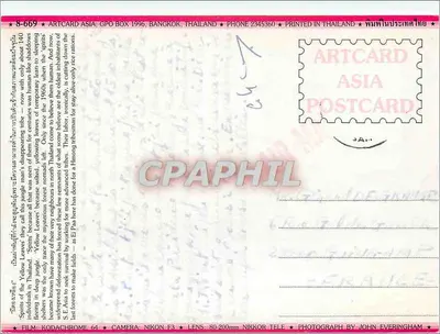 Mężczyzna z lasów żółtych — Tajlandia — Artcard Asia — Rewers
