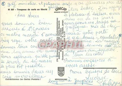 Stado łosi w stanie wolności — Plateau d'Assyès — Wydawca IRIS — Rewers
