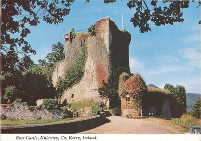 Castelo de Ross, Killarney, Condado de Kerry, Irlanda — Penman Cards Ltd.
