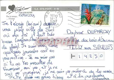 Dois gatos dormindo — 'não tenho tempo para escrever' — S.A. APA-POUX — Verso