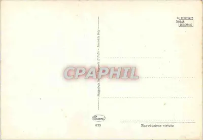 Dwie żółte róże — ciemny tło — Cocamani, n°830 — Rewers