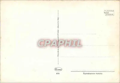 Róża żółta — tło czerwone — Wydawca Ecosami, nr 830 — Rewers