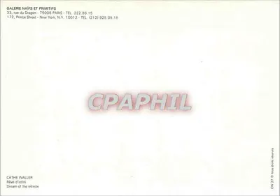 Kolorowy niebo — ptaki w locie — CW 27 — Rewers