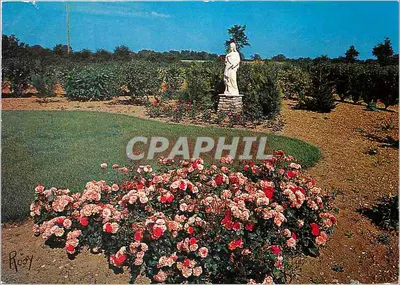 Jardin de roses et statue de la Vierge — Foyer Saint-Louis, Geneston — Éditeur : Château de la Fière