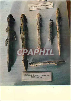 Frammenti di aghi e arpioni a due file di barbigli — Museo di Preistoria, Les Eyzies (Dordogne)