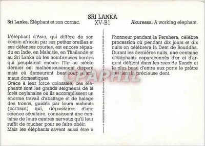 Sri Lanka — Elefante e seu cornac — XV-B1 — Verso