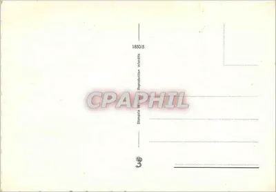 Filhote de cão de pastoreio australiano — sobre fundo verde e tecido vermelho — 1850/5 — Verso