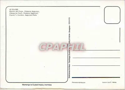 Elche — Ogród Kapłana, Imperatorska Palma — Wydawnictwo Arribas — Rewers