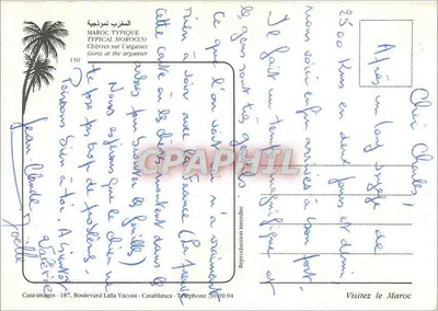 Kozy na drzewie arganowym — typowy Maroko — Casa-images, Casablanca — Rewers