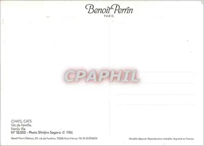 Chats — Vida em Família — Benoît Perrin, N°10.055 — Verso