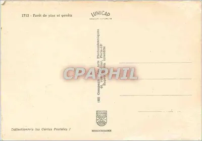 Pine- en genzienwoud — Collectie Lumicad — n° 1713 — Achterkant