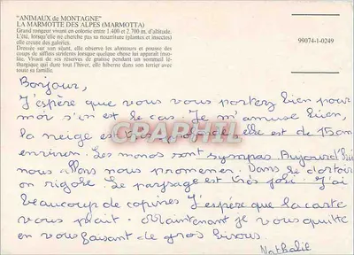 Au pays des marmottes — Montagnes alpines — éditeur inconnu, n° de série 99074-1-0249 — Verso