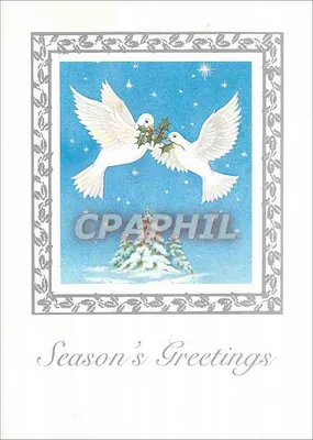 Deux colombes blanches — Noël — The Card Company, DS43071