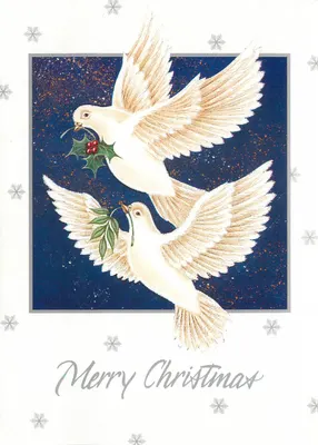 Deux colombes — Noël — The Card Company, n° D541249