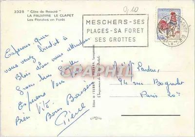 As Flores na Floresta — Costa da Beleza — Edição da Europ — Verso