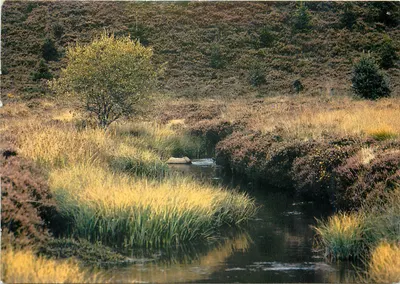 O Plateau de Millevaches — telhado do Limousin, 977 m — Edições Larriau, n° 190857