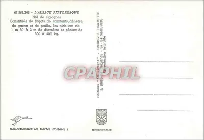 Gniazdo kruków — Piekło w Alzacji — Wydawnictwo "La Cigogne", Strasbourg — Rewers