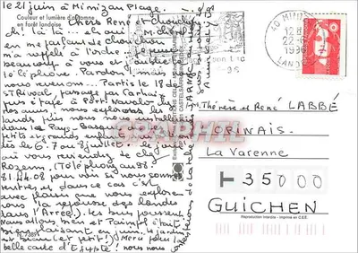 Floresta landaise — vista de pinheiros e samambaias — Edições Célia Michel, n° 35000 — Verso