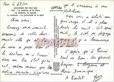 Pau — Zamek, Gave i Palmaie — Lumicad — Rewers