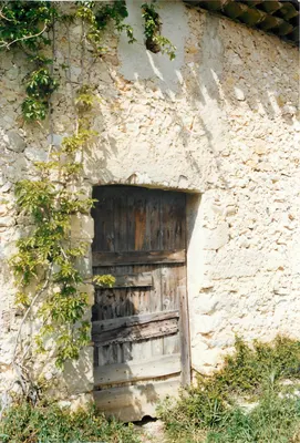 Porta de madeira de uma antiga construção de pedra — Montpellier, 11.09.92
