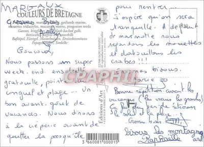Bretagna — uccelli del mare — Edizioni d'Arte — Verso