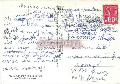 Cão com longa pelagem branca e preta — editor Labrit des Pyrénées, n° 3247 — Verso