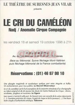 Le Cri du Caméléon — spektakl Compagnie Anomalie — Cirque Meyer Productions — Rewers