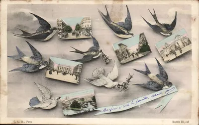 Aves e paisagens urbanas — E. L. D., Paris — Modelo Depositado