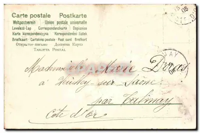 Violetas em um cesto — Boa festa — editor não visível — Verso