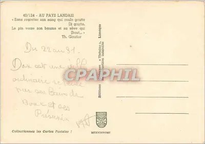 Pinha de seiva — edição Iris — n°40/124 — Verso