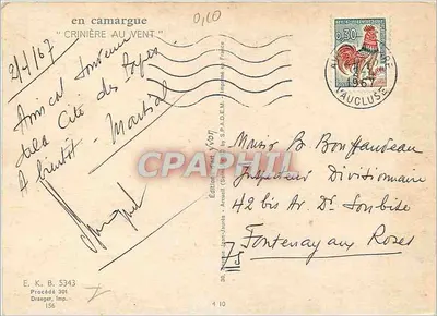 Camargue — Crinière au Vent — Éditions J. Vion — Verso