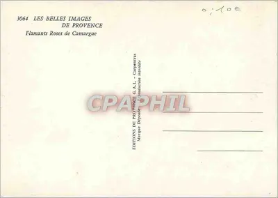 Flamencos Rosa da Camargue — Edições G.A.L. - Carpentras — Verso