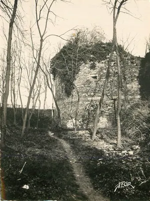 Dol-de-Bretagne — as ruínas do Castelo — editor ATOR