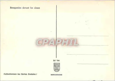 Bouquetins diante das cimeiras — BJ 794 — Mexichrome — Verso