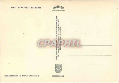 Bukiet kwiatów — Bukiet Alp — Lumicap — Rewers
