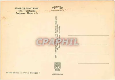 Flore górskiej — Centaurea Nigra — Lumicap — Rewers