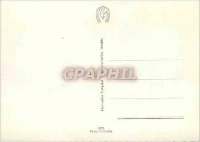 Loches (E-et-L) — Pałac Królewski — Gany — Rewers