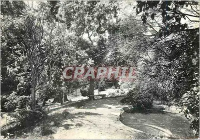 ला पाटॉज़ियर — कोलंबिया डेस अर्दिल्लाट्स (रोन) — कंपनी जनरल ट्रांसएटलांटिक