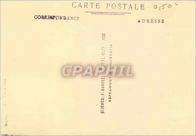 Pine Tree Côte d'Azur — widok panoramiczny — F. Baruzzi, n° 0150 — Rewers